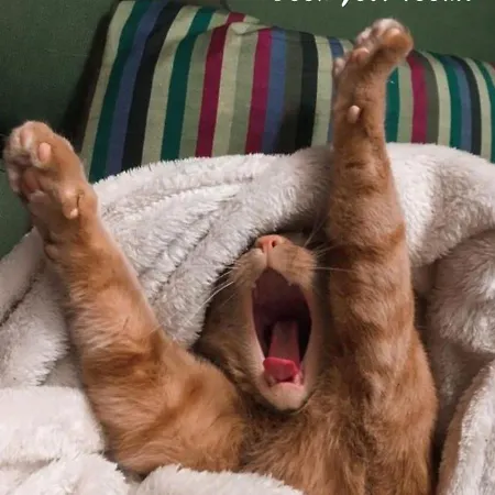 Hotel Europa & Concordia